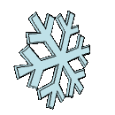 Vogelwinter